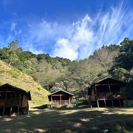 Entre Arboles Lodge Сан Херардо де Дота Екстериор снимка