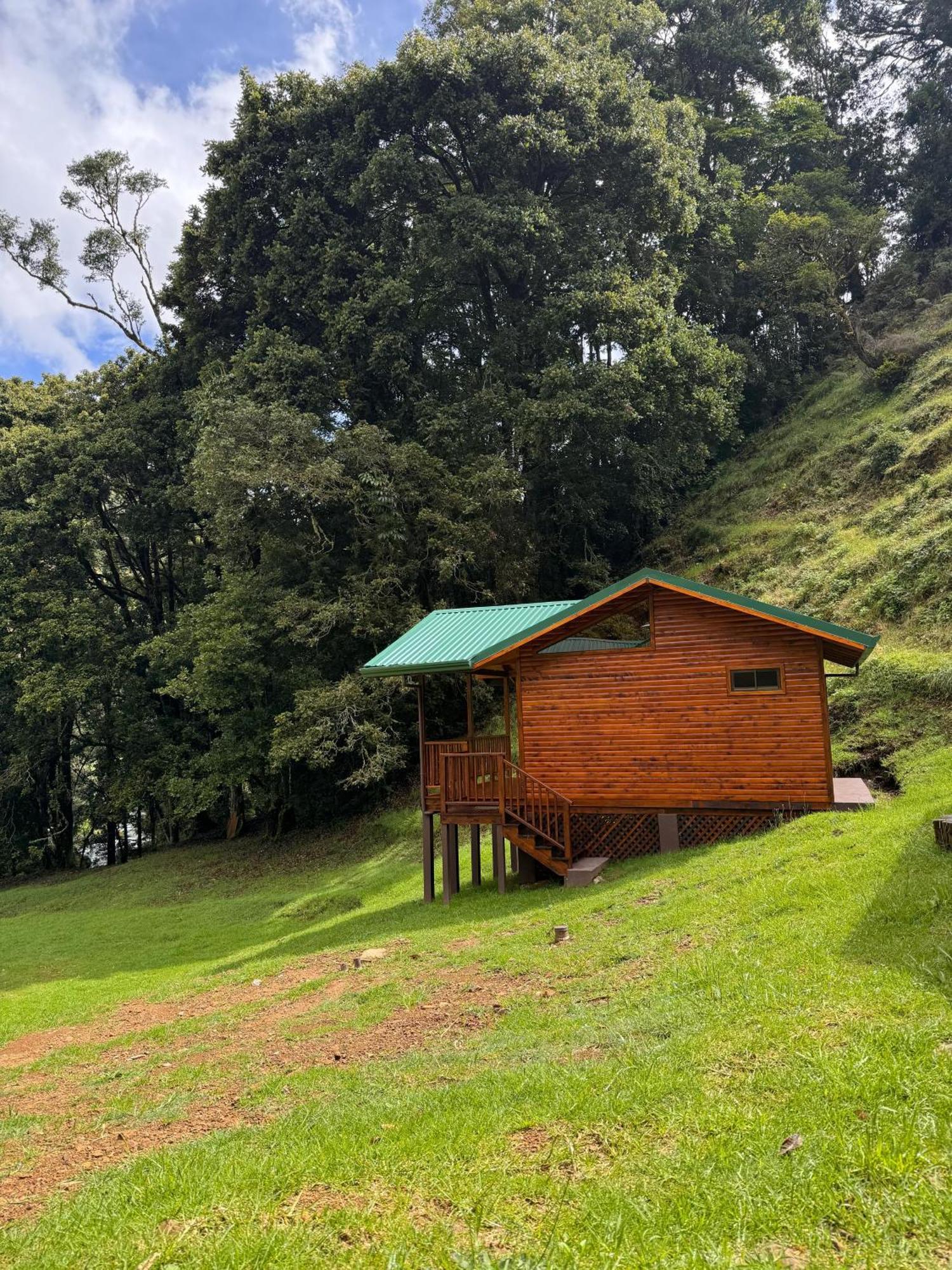 Entre Arboles Lodge Сан Херардо де Дота Екстериор снимка