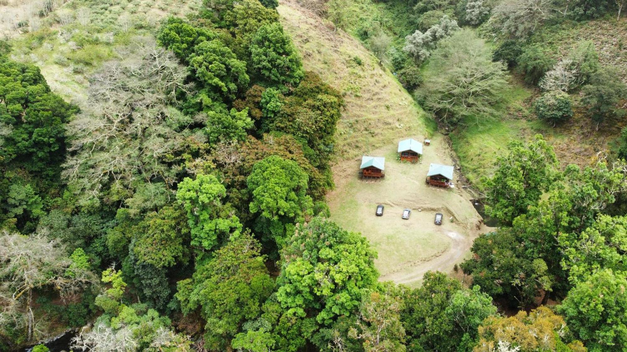 Entre Arboles Lodge Сан Херардо де Дота Екстериор снимка