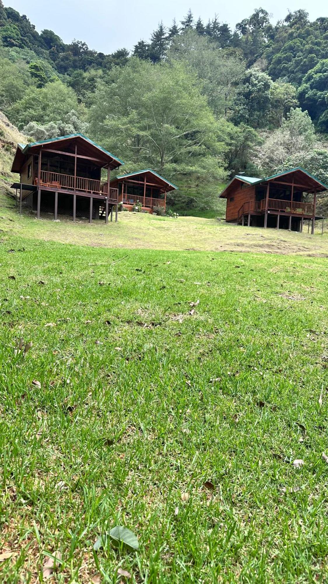 Entre Arboles Lodge Сан Херардо де Дота Екстериор снимка