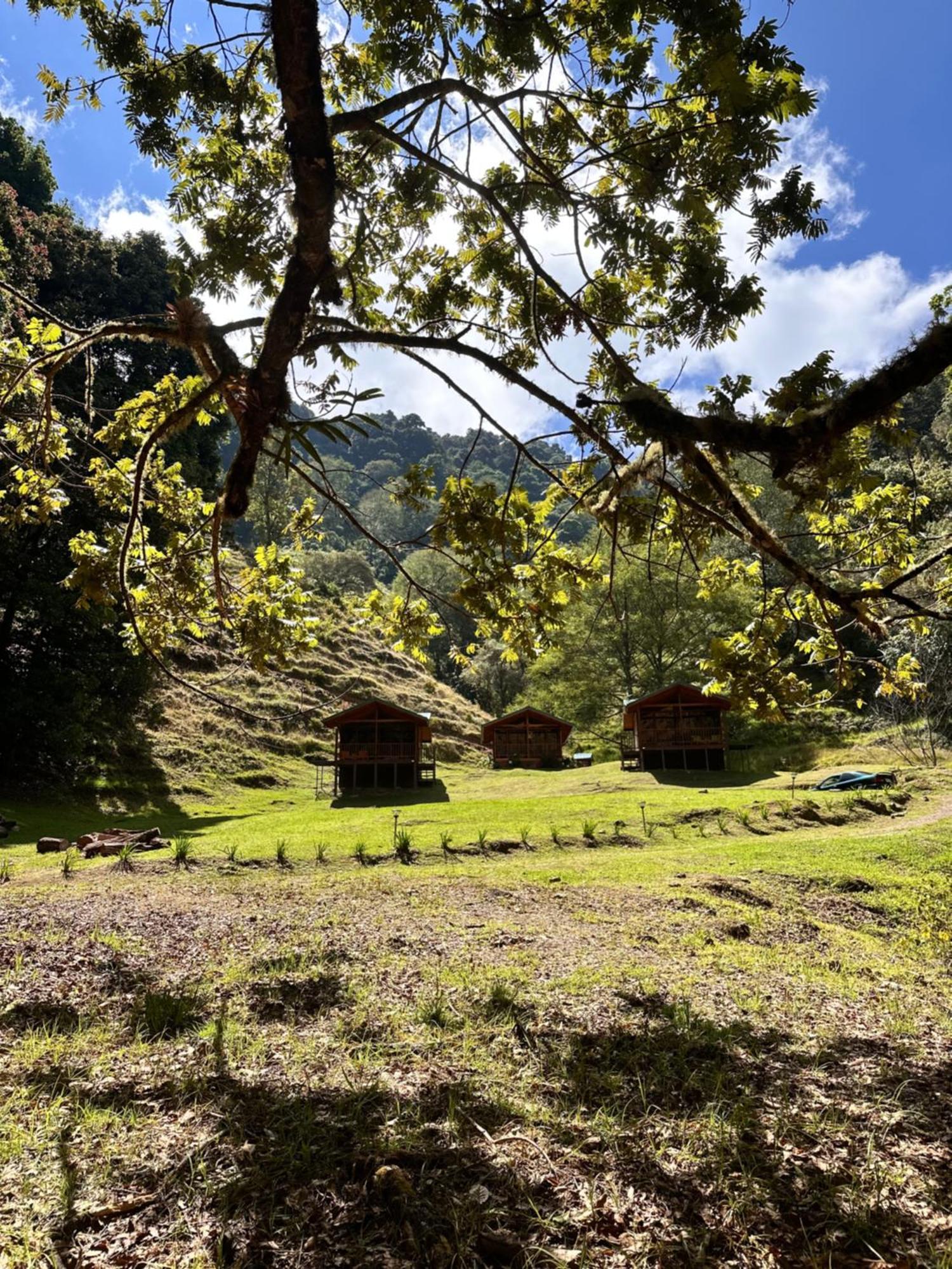 Entre Arboles Lodge Сан Херардо де Дота Екстериор снимка