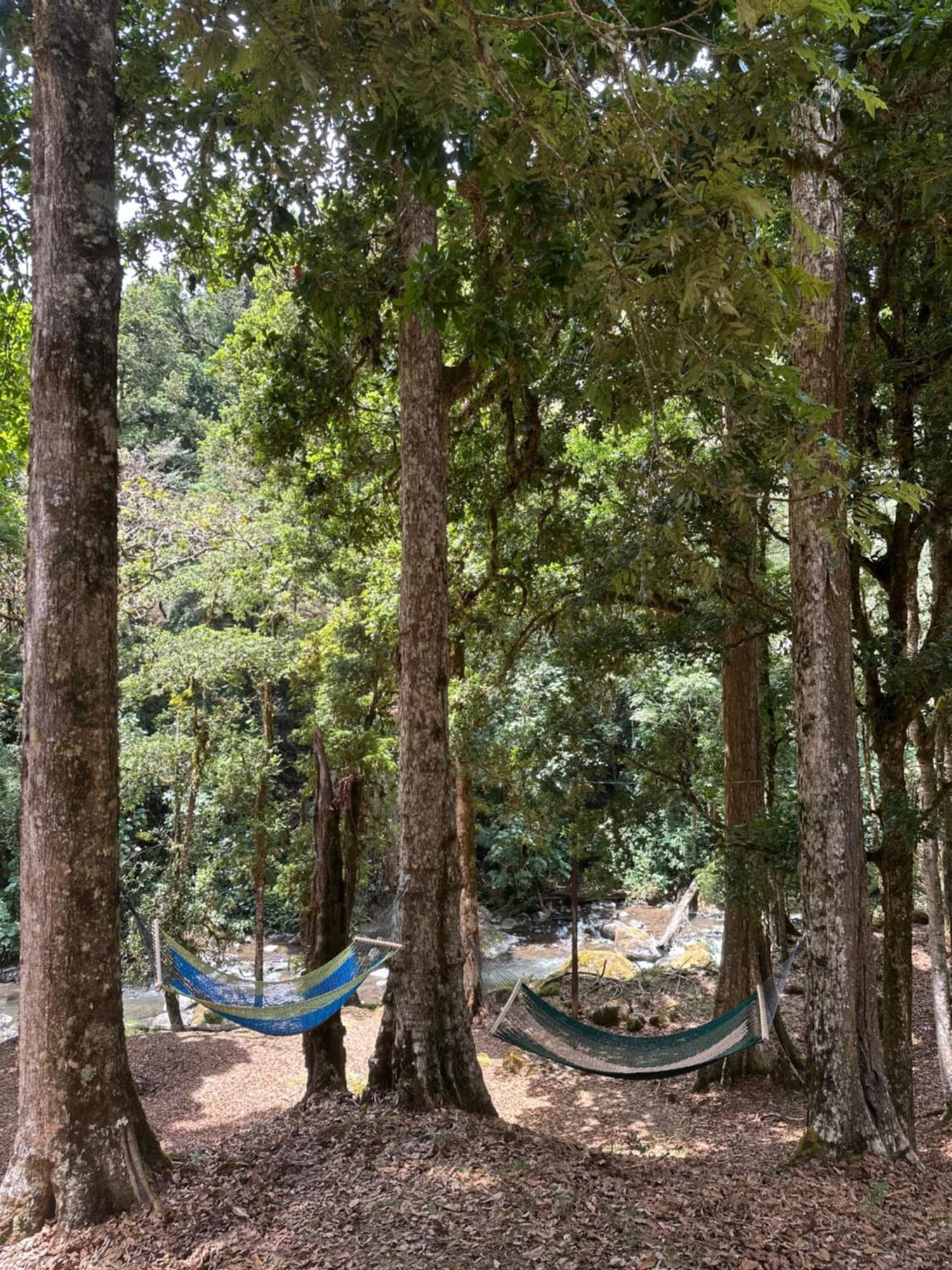 Entre Arboles Lodge Сан Херардо де Дота Екстериор снимка