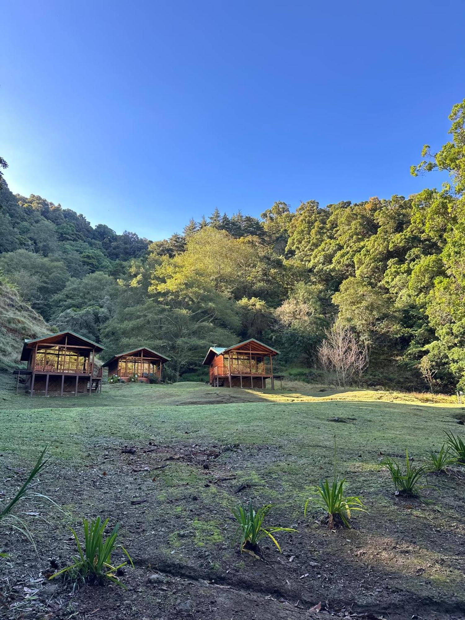 Entre Arboles Lodge Сан Херардо де Дота Екстериор снимка