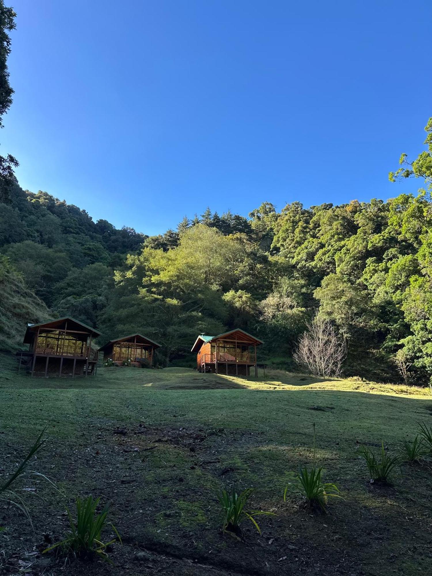 Entre Arboles Lodge Сан Херардо де Дота Екстериор снимка
