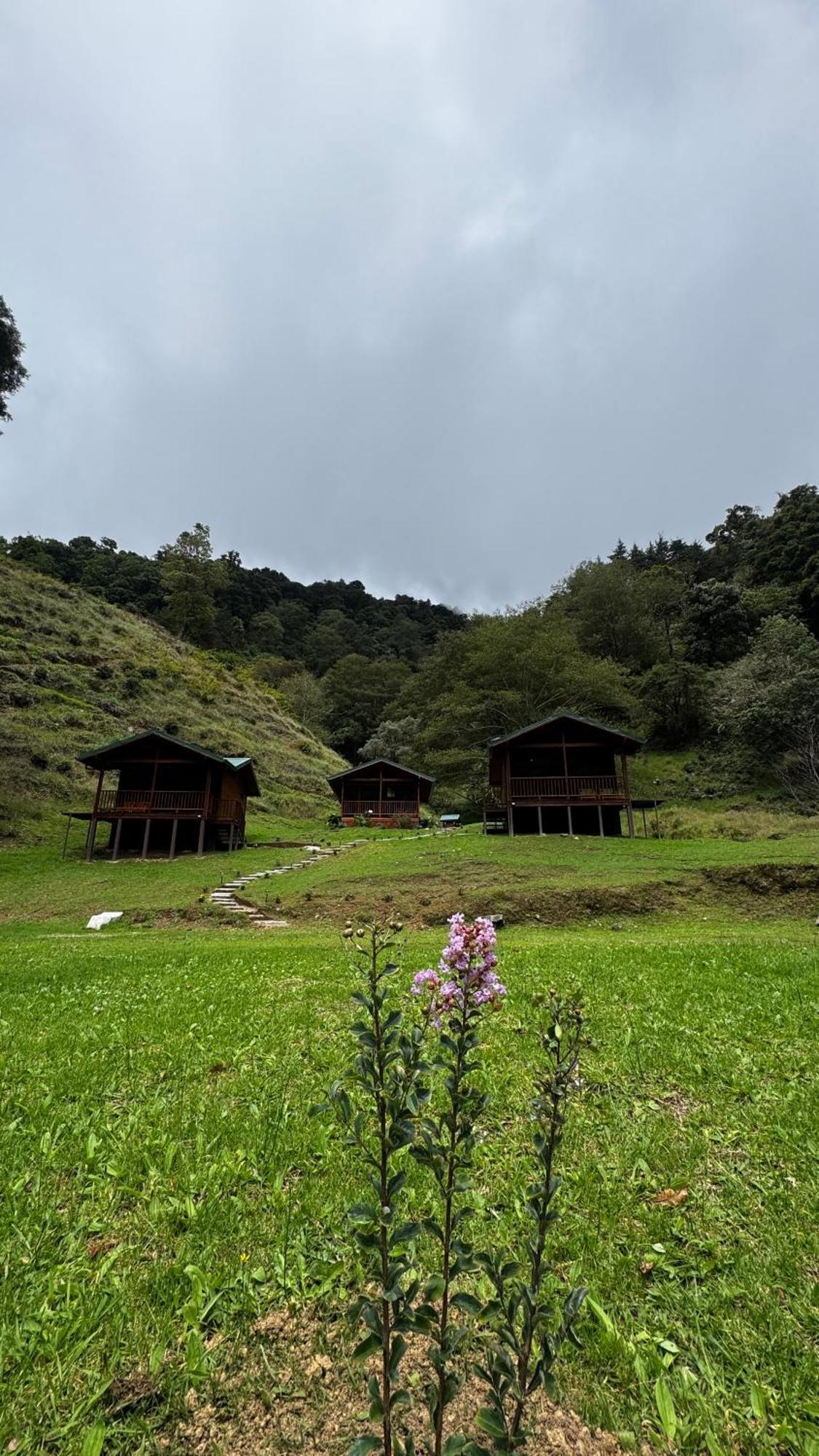 Entre Arboles Lodge Сан Херардо де Дота Екстериор снимка
