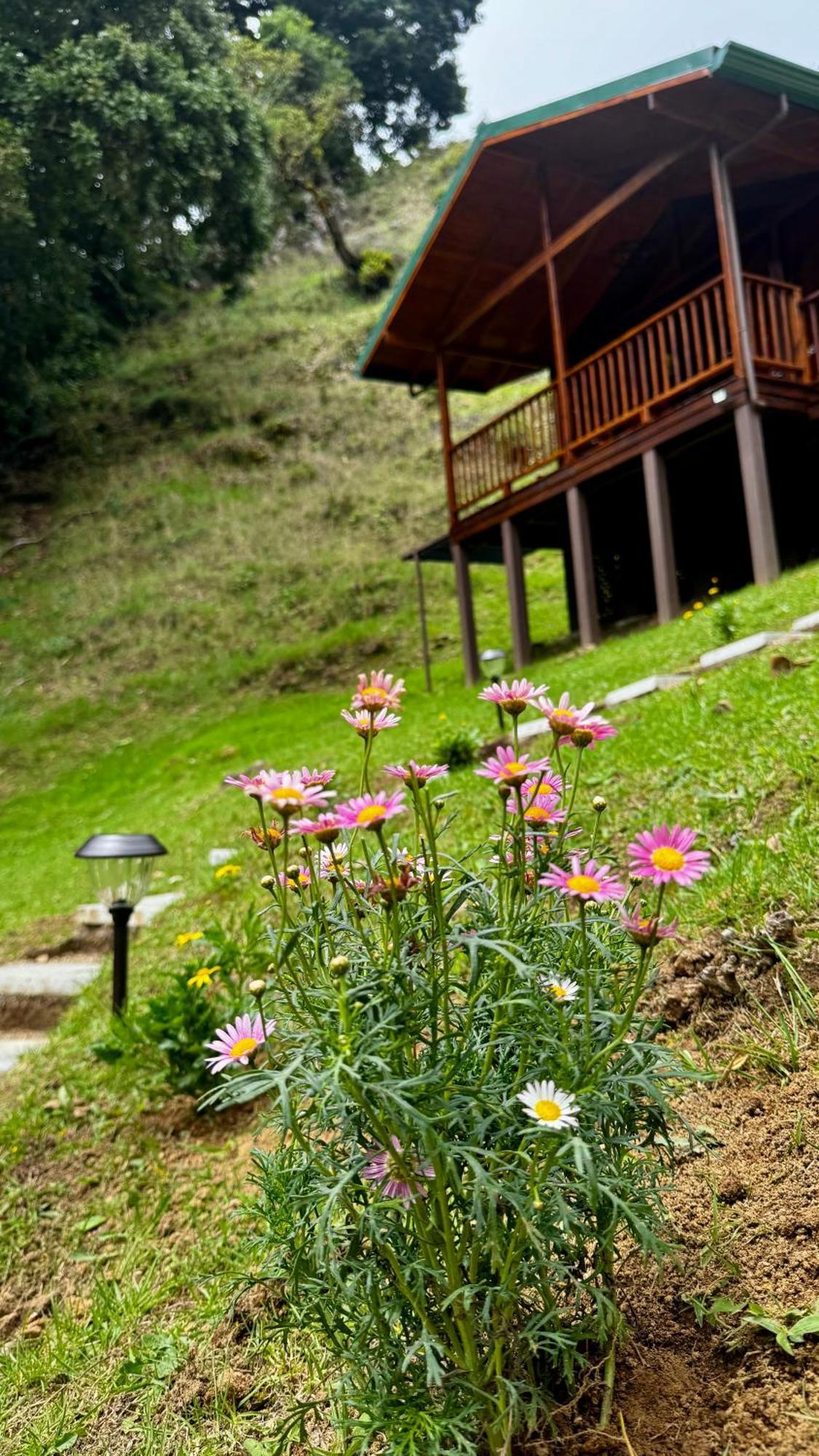 Entre Arboles Lodge Сан Херардо де Дота Екстериор снимка