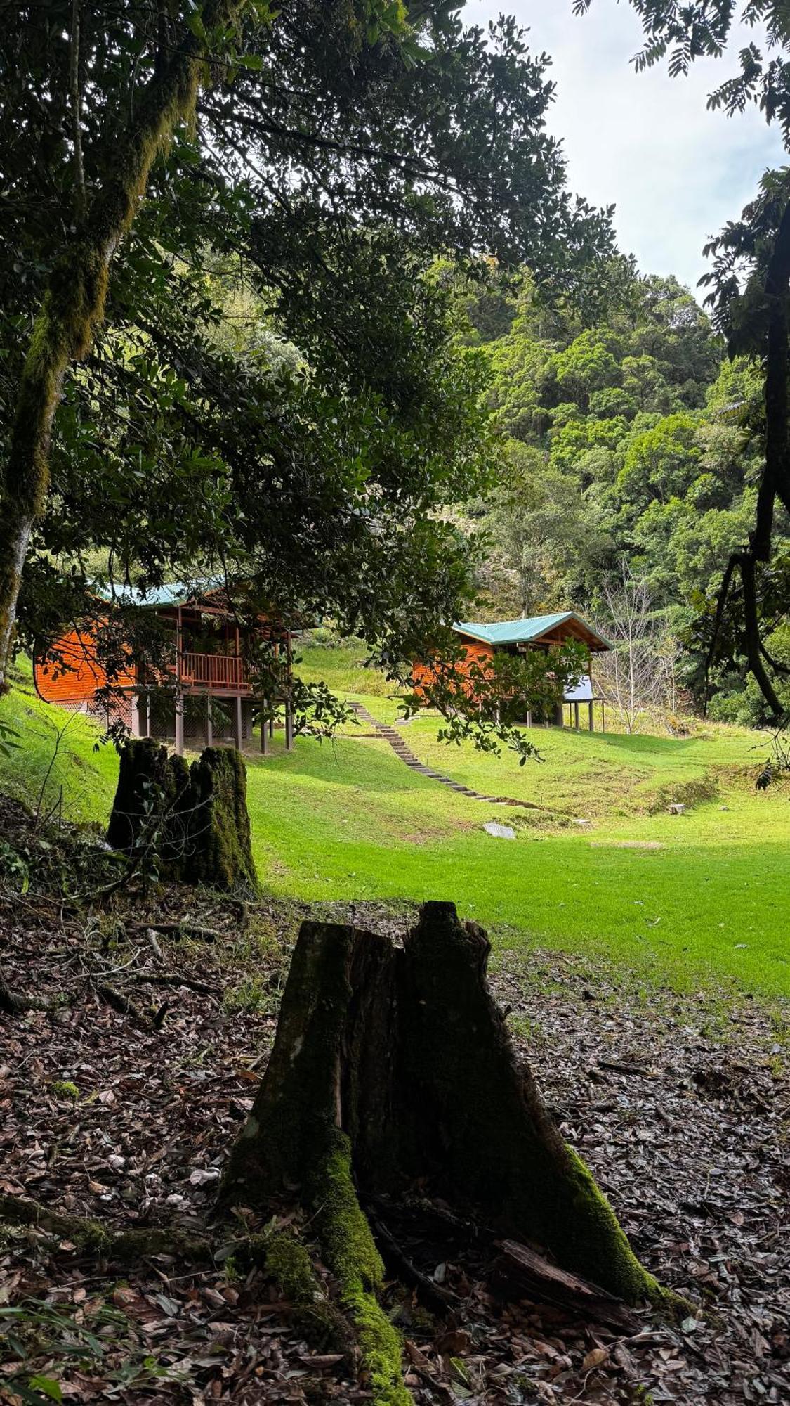 Entre Arboles Lodge Сан Херардо де Дота Екстериор снимка