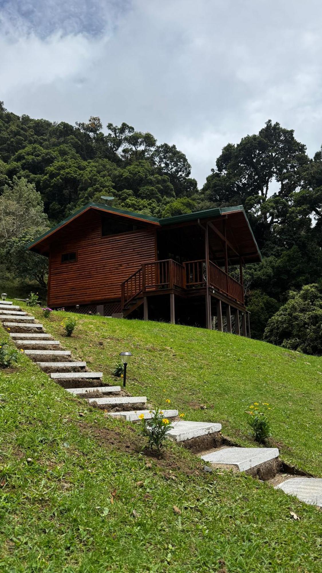 Entre Arboles Lodge Сан Херардо де Дота Екстериор снимка